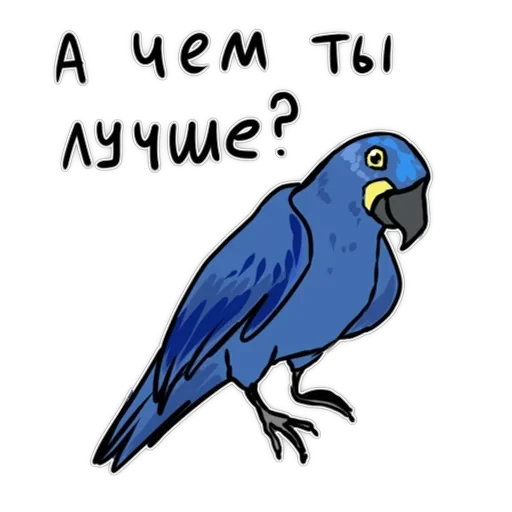 Злі папуги — 14