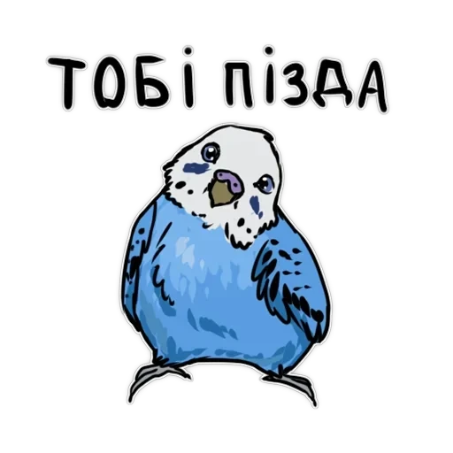 Злі папуги — 16