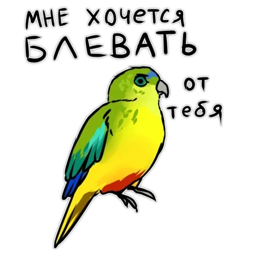 Злі папуги — 18