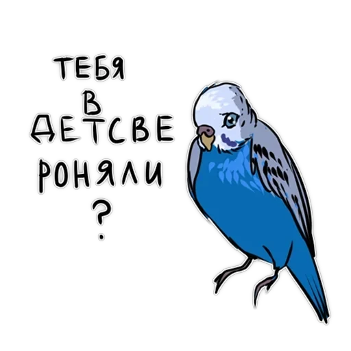 Злі папуги — 19