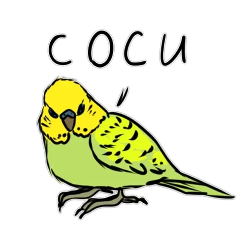 Злі папуги — 3