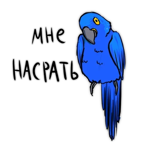 Злі папуги — 21