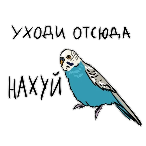 Злі папуги — 22