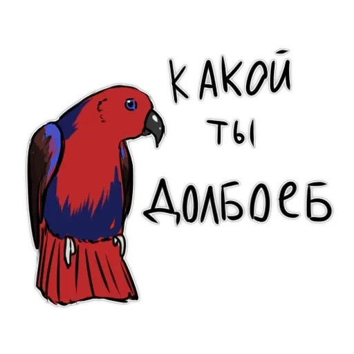 Злі папуги — 23
