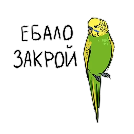 Злі папуги — 29