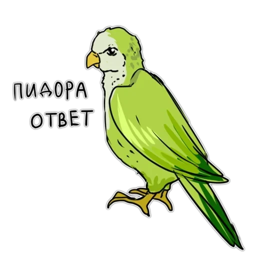 Злі папуги — 31