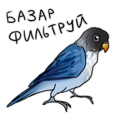 Злі папуги — 37