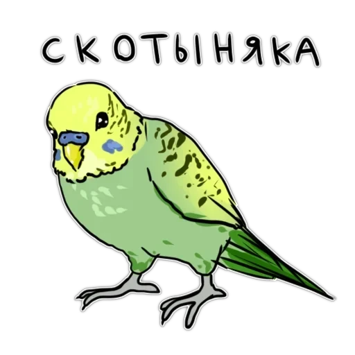 Злі папуги — 38
