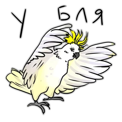 Злі папуги — 39