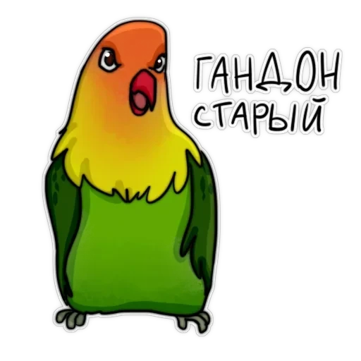 Злі папуги — 41