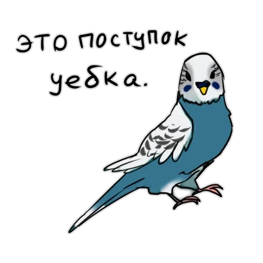 Злі папуги — 42