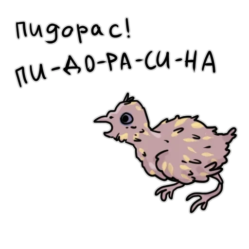 Злі папуги — 44