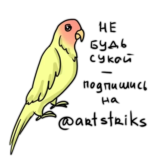 Злі папуги — 45