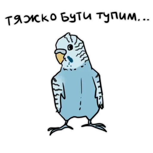 Злі папуги — 49