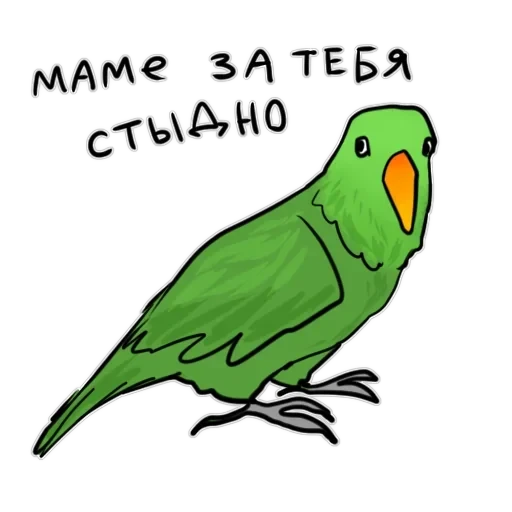 Злі папуги — 50