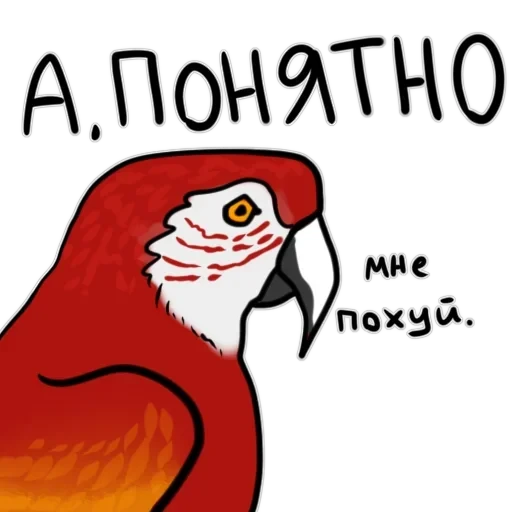 Злі папуги — 52