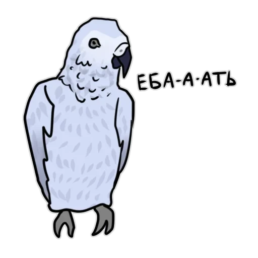 Злі папуги — 53