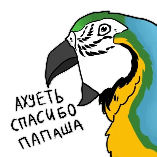 Злі папуги — 54