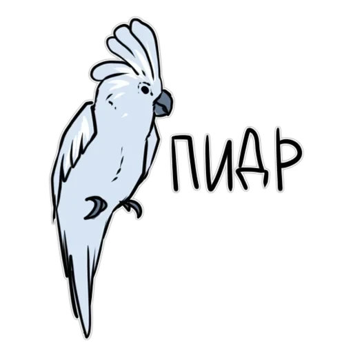 Злі папуги — 8