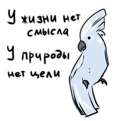 Злі папуги — 9