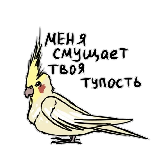 Злі папуги — 10