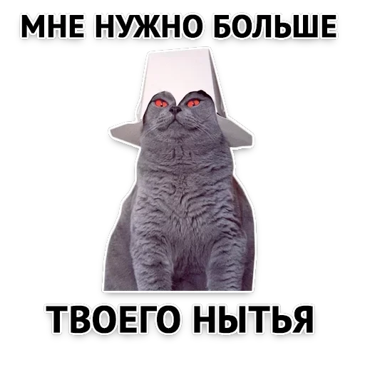 Злойпак — 1