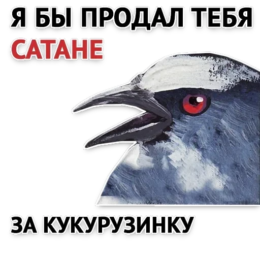 Злойпак — 2