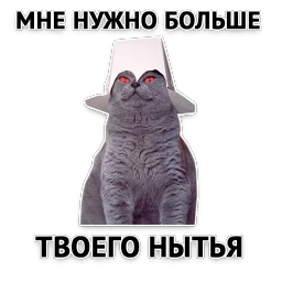 Злойпак