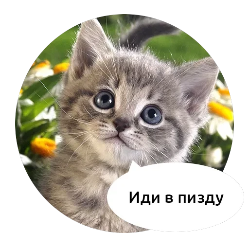 Злые зверята — 1