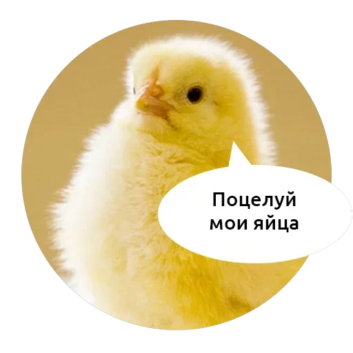 Злые зверята — 2