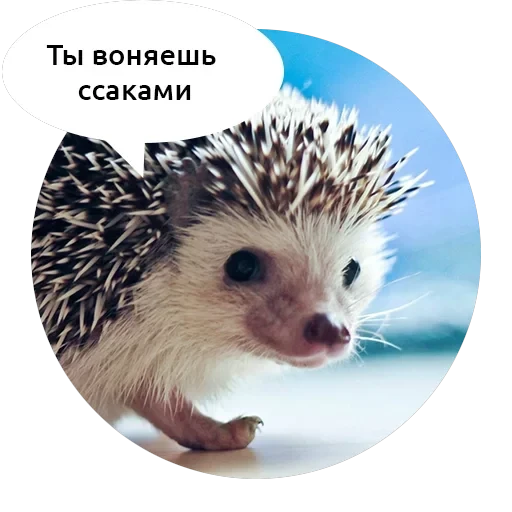 Злые зверята — 3