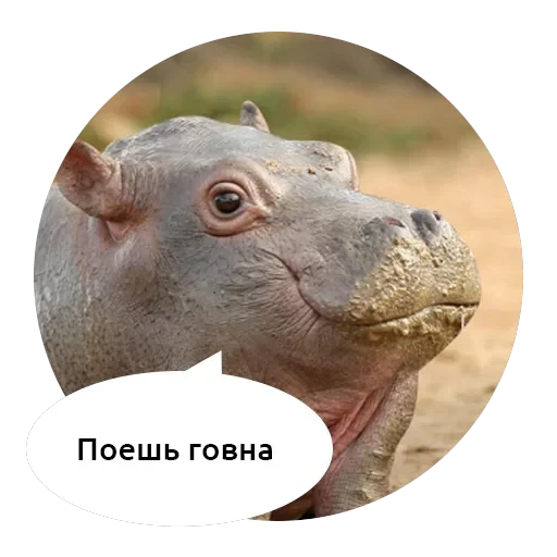 Злые зверята — 4