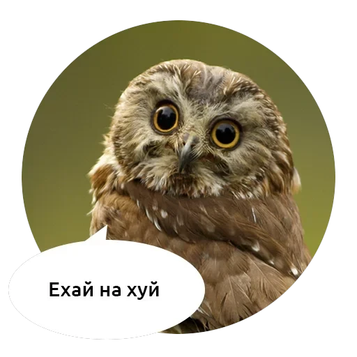Злые зверята — 9