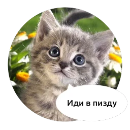 Злые зверята