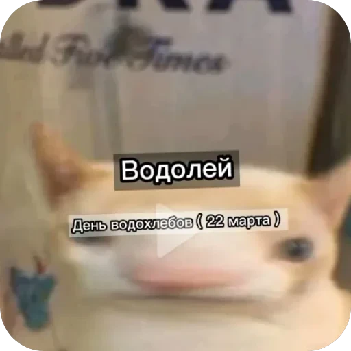 Знаки з — 2