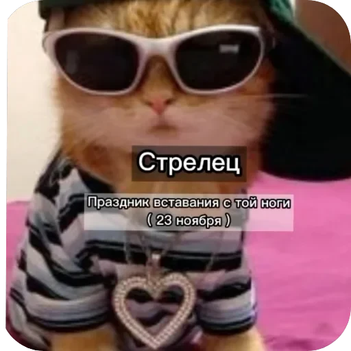 Знаки з — 11