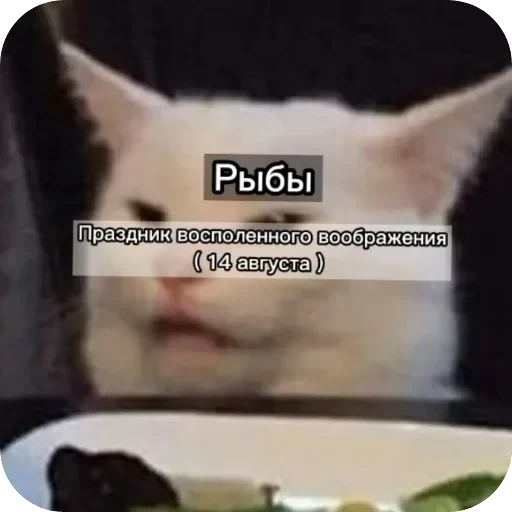 Знаки з — 12