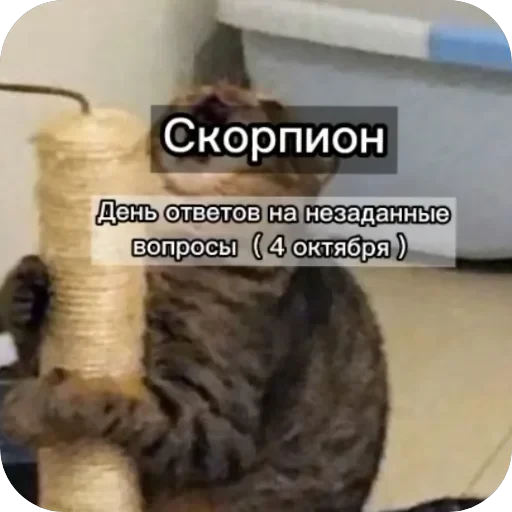Знаки з — 3