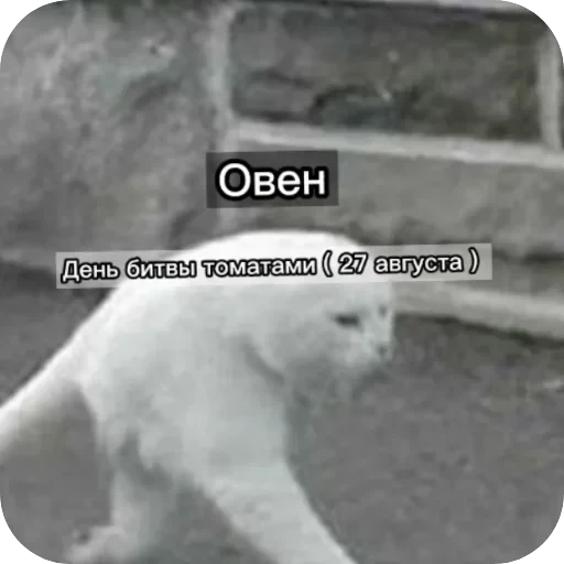 Знаки з — 4