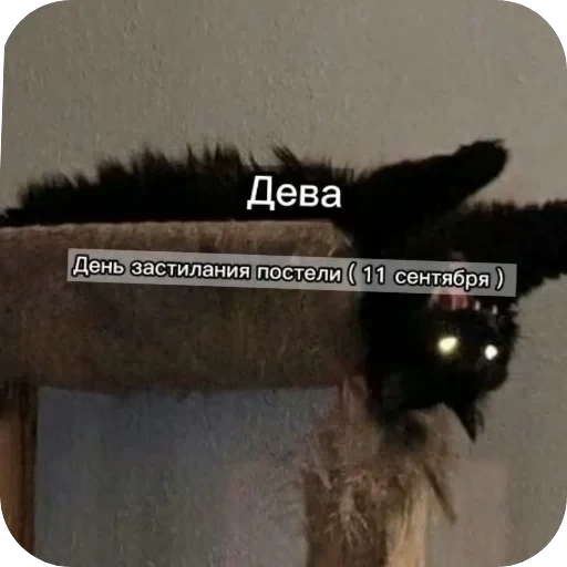 Знаки з — 5