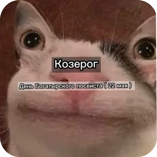 Знаки з — 6
