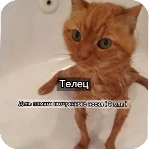 Знаки з — 7