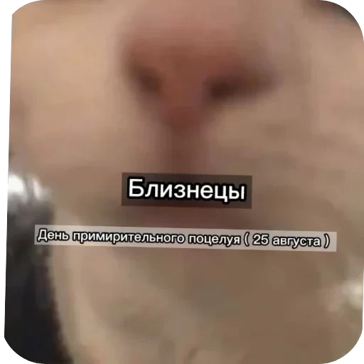 Знаки з — 8