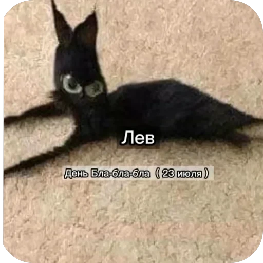 Знаки з — 9