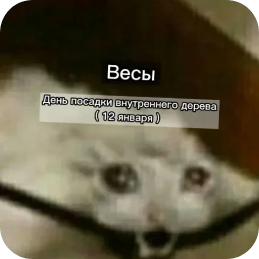 Знаки з — 10