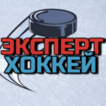 Логотип канала Хоккейный эксперт