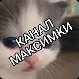 Канал Максимки
