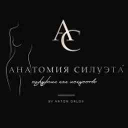 Анатомия Силуэта® Пластический хирург Орлов Антон, абдоминопластика, маммопластика, бодилифт