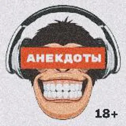 АНЕКДОТЫ