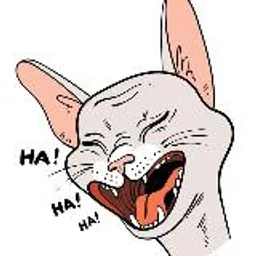Коты l Смешные l Животные l Милые